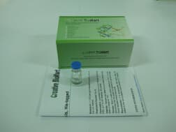 Acetate Colorimetric Assay Kit